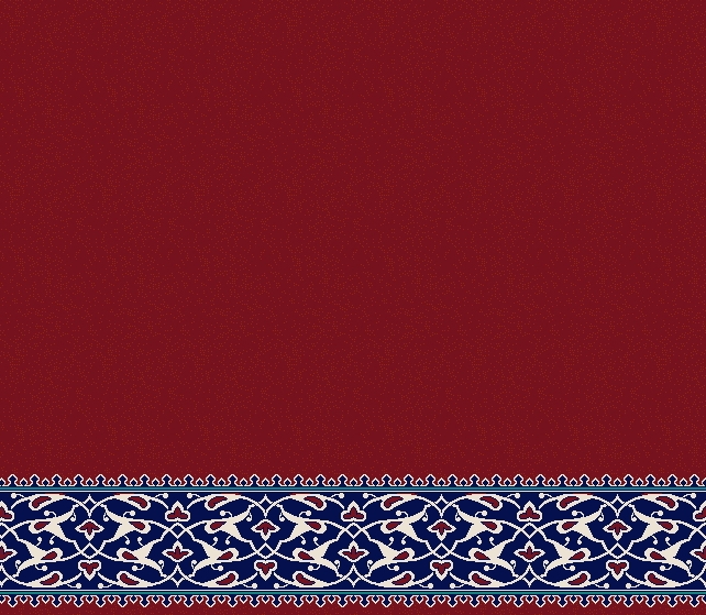 S1128 BORDO