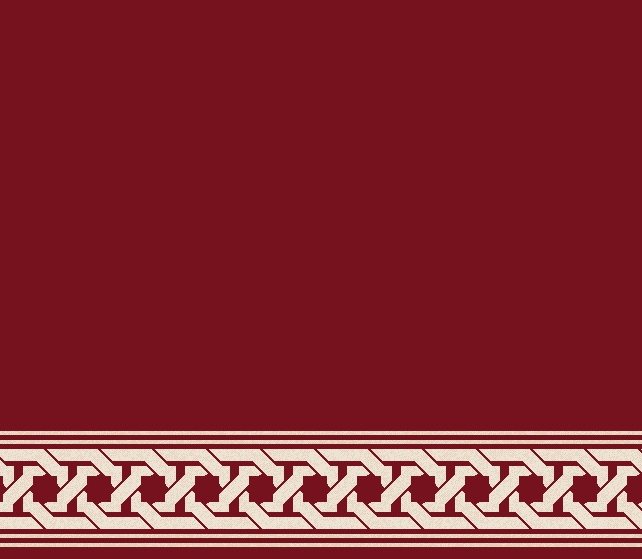 S1130 BORDO